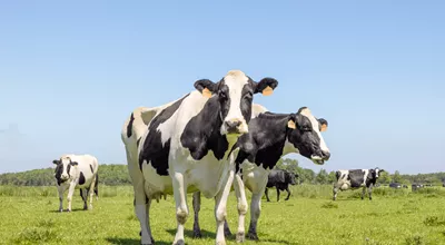 <?= Blijf op de hoogte; ?>